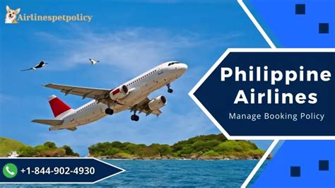 pgsfly|Manage Your Flight Booking .